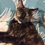 Rescue Kitten Tess Carousel 1