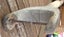 VINTAGE ** A & F PARKES & CO LTD *** DIAMOND STEEL *** D HANDLE SPADE Carousel 14
