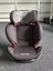 Booster Car Seat Carousel 1