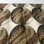 Vintage Curtain Carousel 14