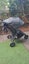 Baby Jogger City Mini GT Carousel 1