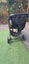 Baby Jogger City Mini GT Carousel 5
