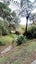 gallery view thumbnail