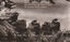 Loading Image 1 of 2