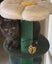 Miss Bernie - Rachel's KittyCat Rescue Carousel 15