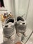 New balance 9069 Carousel 4