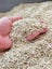 9S Premium Tofu Cat Litter – Flushable & Odor-Controlled! Carousel 4