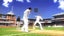 NINTENDO Wii CRICKET (Wii) *KOOKABURA BAT + BALL + GAME!! Carousel 10