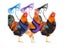 Fashion Chicken Vest Hen Belt Pet Harness Matching Collars Bow Comfortable Carousel 3