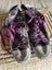 Women's shoes Carousel 8