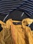 Small women’s clothing bundle. Carousel 7