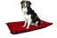DOG OR CAT BED / CUSHION MATERIAL RED PAWS 1.6M WIDE X 1 METRE Carousel 2