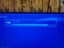 PS4 + 8 games Carousel 2