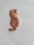 Cat Charm 30x15x2mm (stripe) Carousel 1