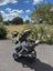 UPPABaby Vista V2 Stroller Carousel 7