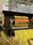 Guinea pigs Carousel 3