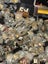 Dollar Reserve! Huge Bulk Jewellery Making Supply – Chains, Pendants and More Carousel 8