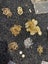 Dollar Reserve! Huge Bulk Jewellery Making Supply – Chains, Pendants and More Carousel 12