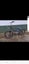 Wethepeople Curse BMX Carousel 1