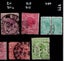 Victoria, QV selection 668, identified, SG Cat £65 Carousel 3