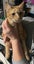 THE STREET CAT PROJECT - TIGGER - AVAILABLE FOR ADOPTION Carousel 1