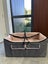 Pet booster seat Carousel 1