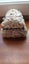 Handmade Shell Jewellery Box Carousel 3