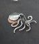 Ammonite fossil brooch Carousel 3