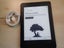 KINDLE paperwhite 7th generation touch screen backlight 58:63 Carousel 1