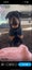 Golden Retriver X Rottweiler puppies for adoption Carousel 6