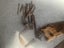 VINTAGE TOOLS Carousel 6