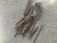 VINTAGE TOOLS Carousel 8