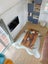 gallery view thumbnail