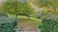gallery view thumbnail