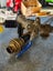 RHEEM low pressure cylinder 2022 Carousel 7