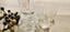 Small lot of Random items Carousel 2