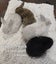 Mini lops babies Carousel 1
