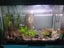 Aqua One AR620 aquarium with fish, ornaments, products Carousel 1
