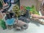 Aqua One AR620 aquarium with fish, ornaments, products Carousel 3