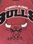 Vintage 90s Chicago Bulls NBA tee 10/12 Carousel 2