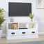 Vida Xl Tv Cabinet White 100X35x50 Cm Engineered Wood Carousel 7