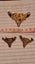 12th Otago mounted rifles badged Carousel 5