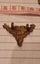 12th Otago mounted rifles badged Carousel 7