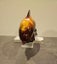 Harvest Gold Blue Mountain Pottery Dolphin. It's A Biggen. Rare/Original Labels. Carousel 7