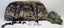 PSE Stinger X Compound Bow Carousel 1