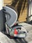 Britax Grow with you harnessed booster seat Carousel 5