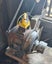 Vintage Metal Lathe Carousel 8