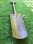 Skelton Spade Carousel 1
