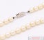 Akoya Cultured Pearl Necklace 45cm with Sterling Silver Clasp ~ $1,800 Carousel 4