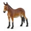 Schleich Farm Animals - 10 piece set Carousel 9